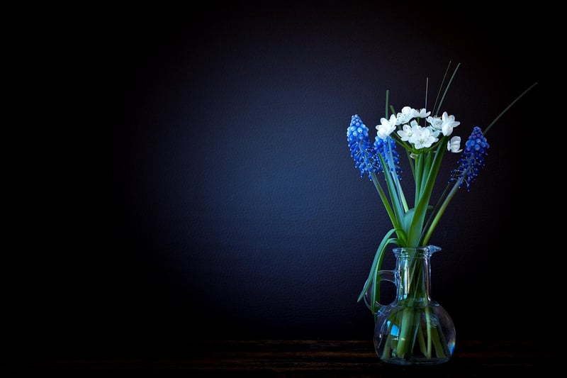 Glass Bottle Vases